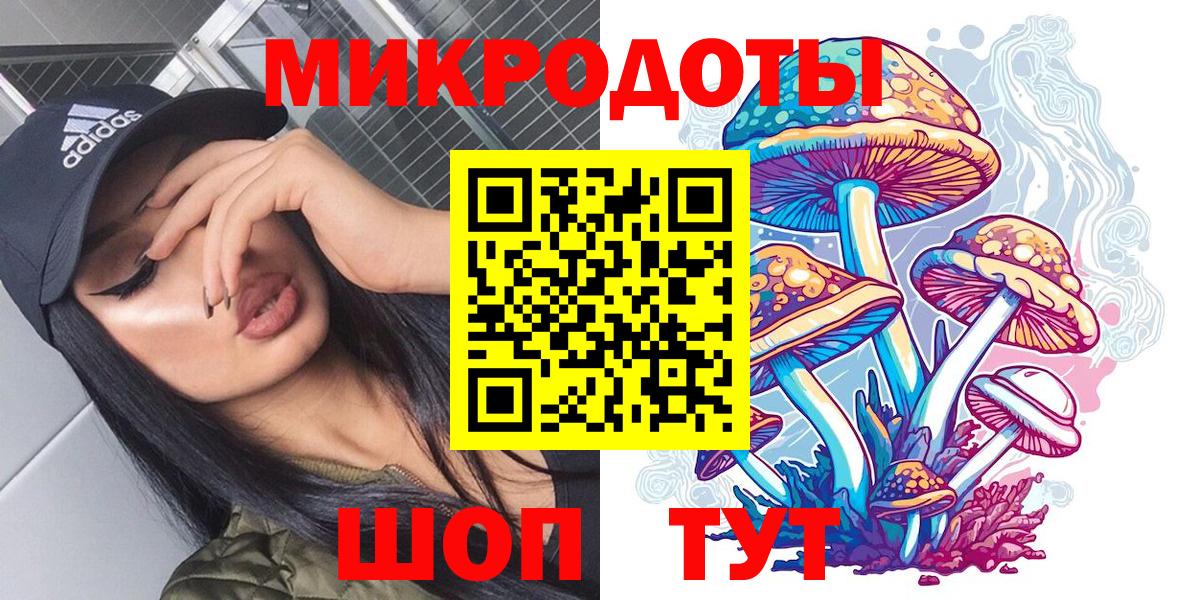Донской  Псилоцибиновые грибы мицелий  где найти   Вход с VPN 
